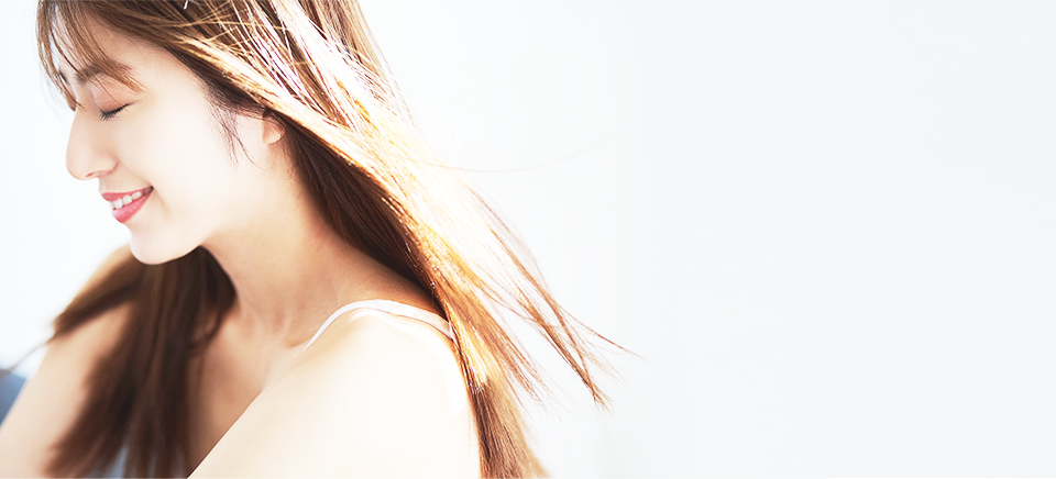 フラーレン球体モデル